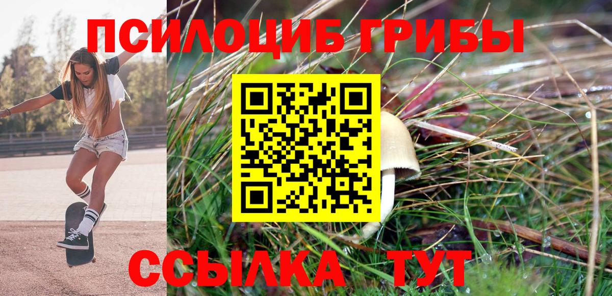 Кириши  Галлюциногенные грибы MAGIC MUSHROOMS  Вход с VPN 