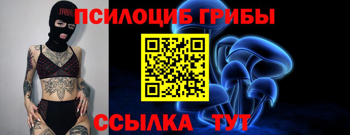 Псилоцибиновые грибы мицелий Кириши